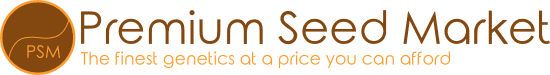 premium seed market logo