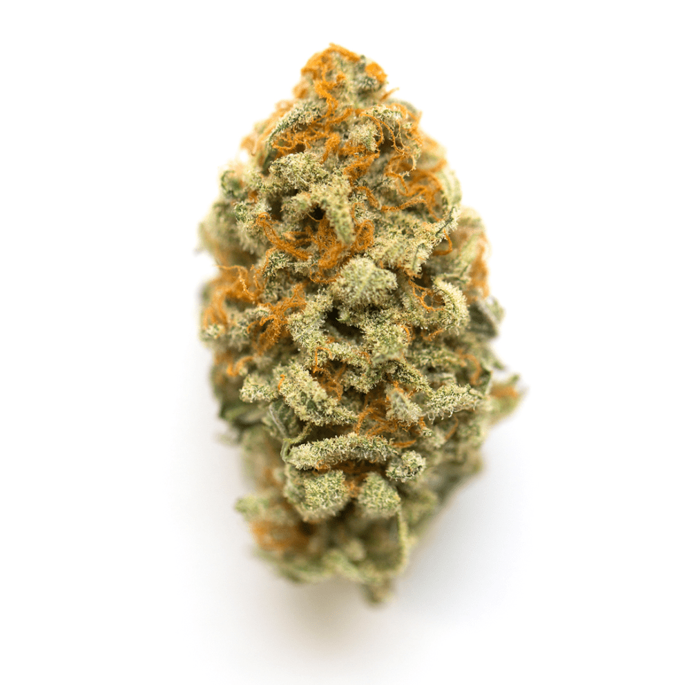 gmo cookies cannabis strain
