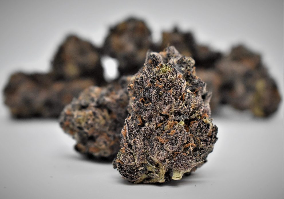 cannabis purple buds mac dre strain