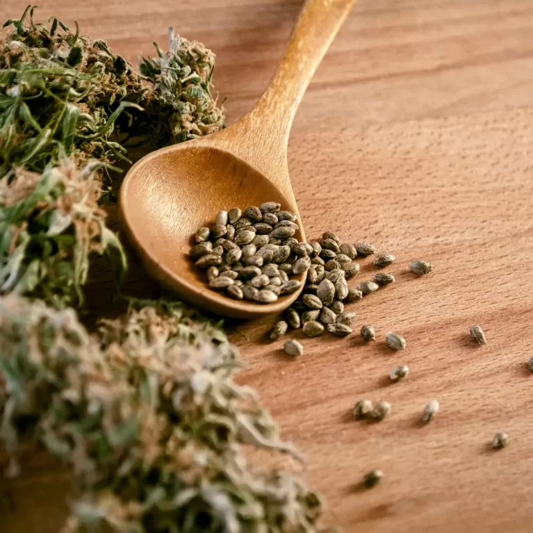 cannabis seeds online