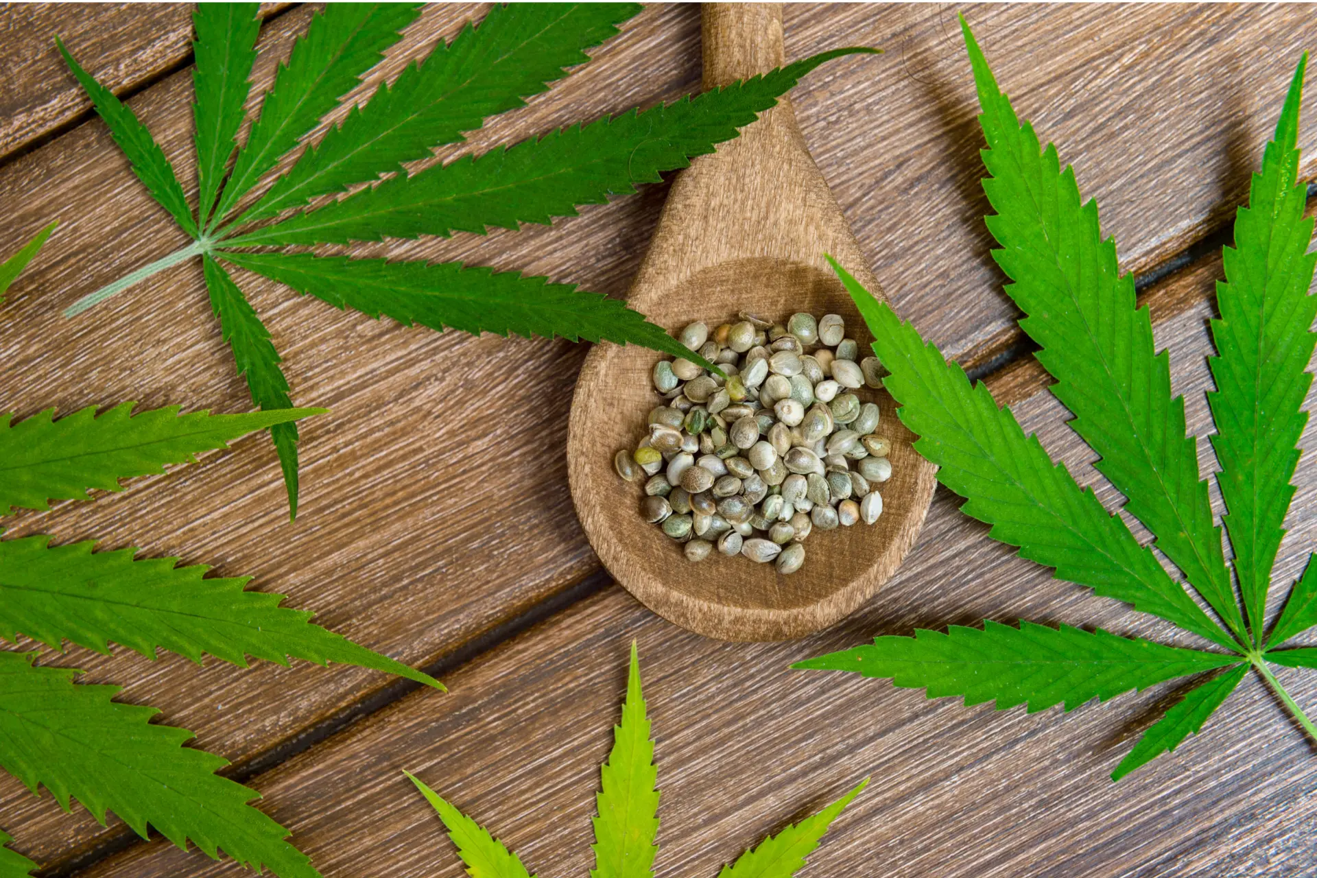 cannabis seed storage
